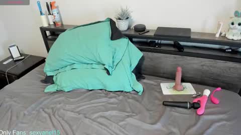 Snapshot of sexyariel15 chatting on 10-22-25, 04:51 SexyAriel15 online show from 10-22-25, 04:51