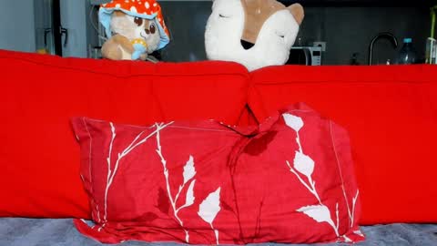 Ari online show from 12-16-24, 05:11