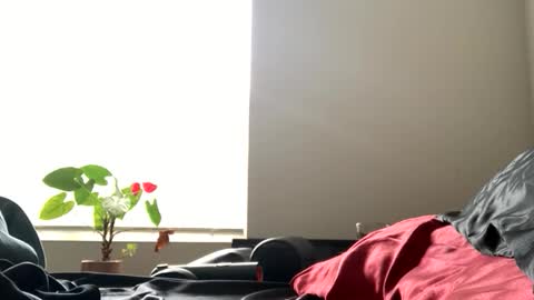 sexyhornyman1993 online show from 06-02-26, 05:59
