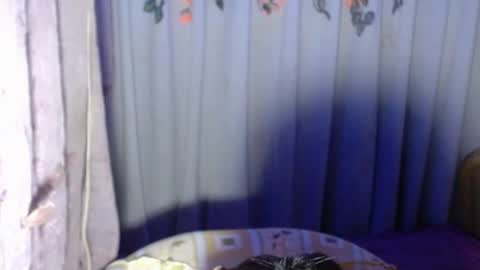 Kagura3 online show from 05-22-26, 04:56