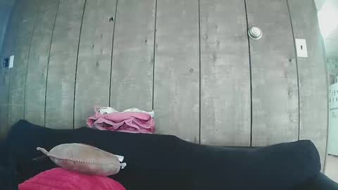 Snapshot of sexystripper69 chatting on 02-19-25, 10:09 sexystripper69 online show from 02-19-25, 10:09