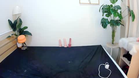 sexytrixie11 online show from 06-22-26, 03:47