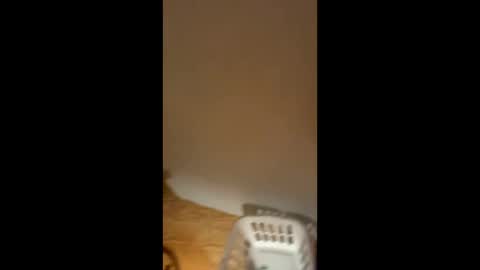 Smooth bi guy online show from 02-11-26, 07:02