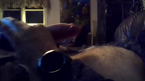 Snapshot of sgthard260486 chatting on 03-10-26, 10:15 sgthard260486 online show from 03-10-26, 10:15