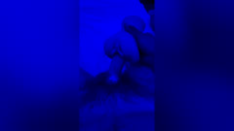 Snapshot of sh591012 chatting on 07-30-26, 06:45 sh591012 online show from 07-30-26, 06:45