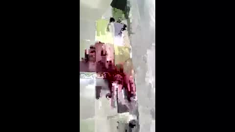 shanelle7 online show from 01-17-26, 12:10