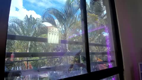 Snapshot of shannakendall chatting on 01-31-25, 05:32 Shana online show from 01-31-25, 05:32