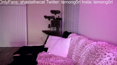 Snapshot of shastathecat chatting on 12-15-24, 03:56 Shasta online show from 12-15-24, 03:56