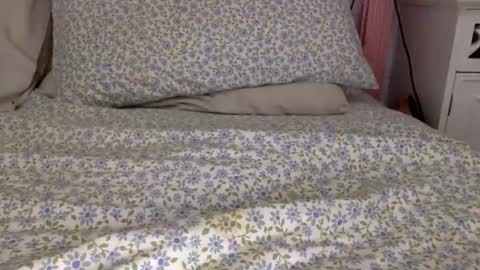 Snapshot of shavednsw chatting on 03-28-26, 08:58 shavednsw online show from 03-28-26, 08:58