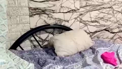 shayka09 online show from 03-23-26, 05:44