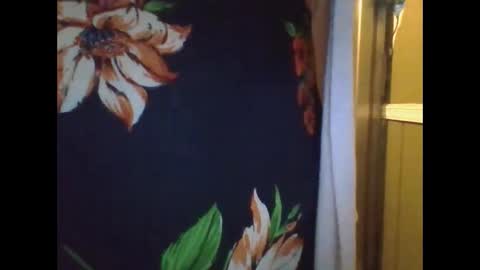Snapshot of shelbyannn chatting on 12-10-24, 03:20 Red online show from 12-10-24, 03:20