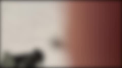 Snapshot of shifted1 chatting on 01-01-25, 11:18 shifted1 online show from 01-01-25, 11:18