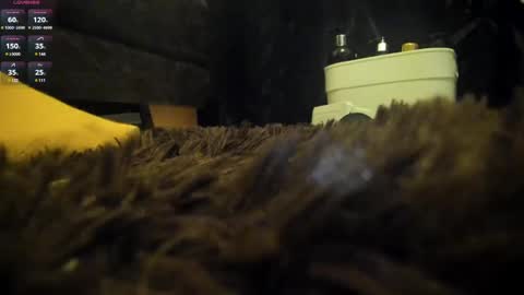 Shinigamidoll see you soon   online show from 03-07-25, 02:15