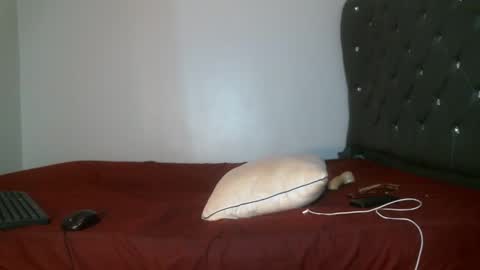 Snapshot of shiro254 chatting on 02-17-26, 08:15 Shi-ro online show from 02-17-26, 08:15