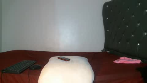 Snapshot of shiro254 chatting on 02-27-26, 12:43 Shi-ro online show from 02-27-26, 12:43