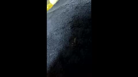 Snapshot of shurthingxx chatting on 01-28-25, 12:22 shurthingxx online show from 01-28-25, 12:22