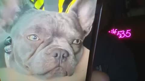 Snapshot of shymilf535 chatting on 02-27-26, 02:55 RBXs Princess online show from 02-27-26, 02:55