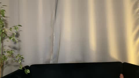 Snapshot of shyprinces chatting on 02-02-25, 07:14 Amelia online show from 02-02-25, 07:14