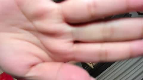 Belle online show from 03-12-25, 07:59