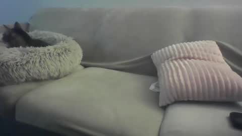 Snapshot of sifgoddess chatting on 02-16-26, 02:29 Lady Sif online show from 02-16-26, 02:29