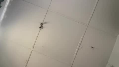 Snapshot of silkyandmaster chatting on 03-08-26, 08:51 silkyandmasterr online show from 03-08-26, 08:51