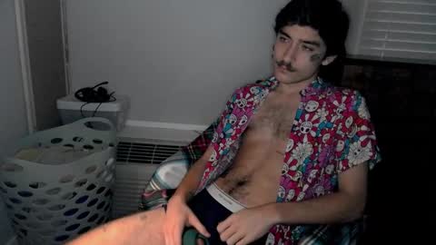 Snapshot of silly_cybin chatting on 01-17-25, 11:17 cybin online show from 01-17-25, 11:17