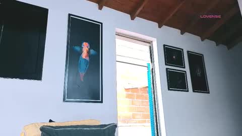 silvabranko online show from 03-06-26, 09:11