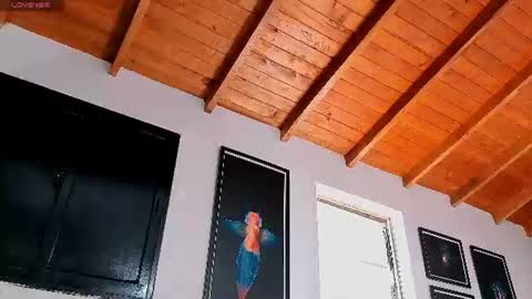 silvabranko online show from 07-06-26, 04:09