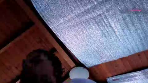 silvabranko online show from 07-13-26, 03:04