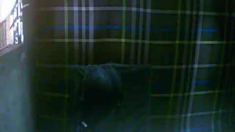 simply__me online show from 02-16-26, 12:07