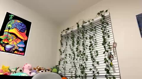 Sincerelyneon online show from 01-10-25, 01:21