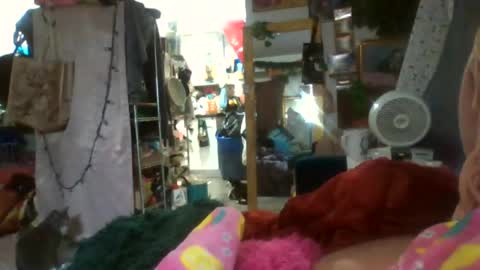 Snapshot of siofra chatting on 07-29-26, 05:44 Siofra online show from 07-29-26, 05:44