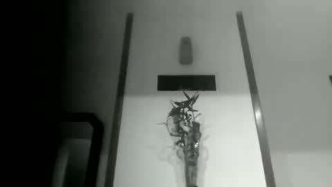 sioque376201 online show from 03-10-26, 11:43