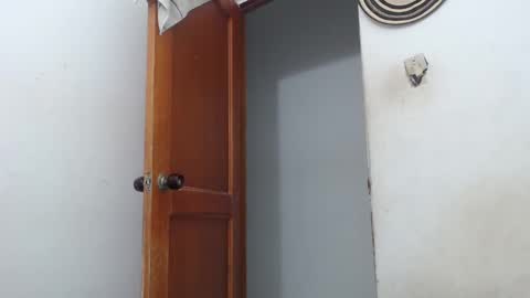 Snapshot of sirajones chatting on 03-02-25, 02:30 sirajones online show from 03-02-25, 02:30