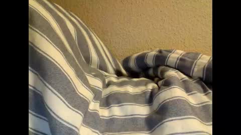 Snapshot of sircamalot45 chatting on 02-17-25, 01:36 sircamalot45 online show from 02-17-25, 01:36