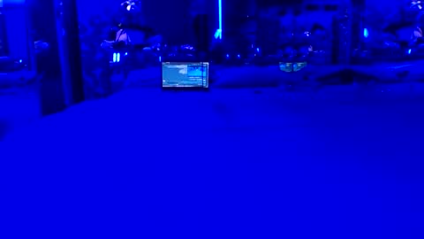 siss11 online show from 05-21-26, 06:42