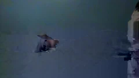 Snapshot of skeeter4fun73 chatting on 12-20-25, 01:40 skeeter4fun73 online show from 12-20-25, 01:40