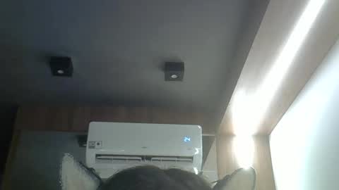 skinnykittencam online show from 04-08-26, 12:38