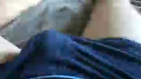 Snapshot of skyblu2031 chatting on 07-13-26, 05:38 skyblu2031 online show from 07-13-26, 05:38