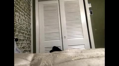 Slangindopee online show from 01-22-25, 11:56