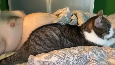 slice5 online show from 04-30-26, 05:25