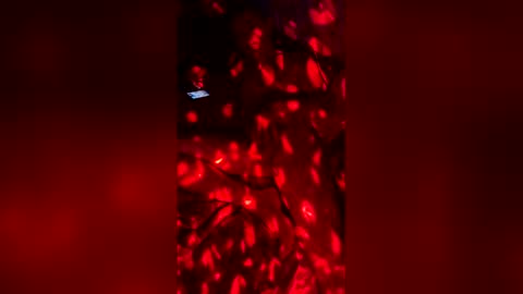 Snapshot of slicknick1988 chatting on 05-27-26, 07:38 slicknick1988 online show from 05-27-26, 07:38