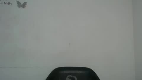 Snapshot of slim_perry chatting on 02-19-26, 11:39 perry online show from 02-19-26, 11:39