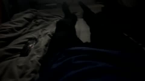 Snapshot of slimboy6900 chatting on 02-23-26, 01:36 slimboy6900 online show from 02-23-26, 01:36