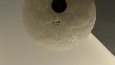 slimguy03 online show from 01-28-25, 03:25