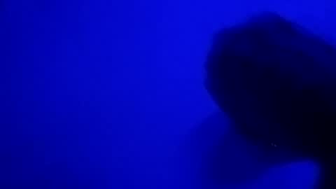 Snapshot of sluttyslut123797367 chatting on 06-28-26, 10:32 Nastyguurl online show from 06-28-26, 10:32