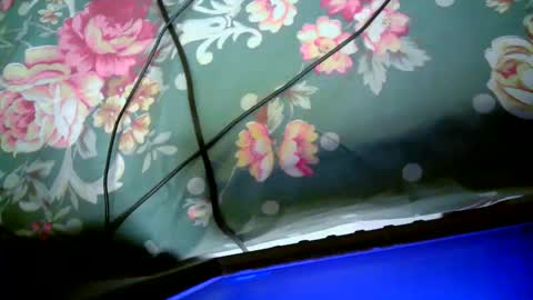 sly_booty4 online show from 11-01-25, 08:44