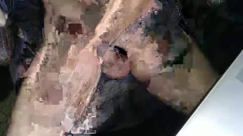 Snapshot of slyfast1 chatting on 12-18-25, 05:02 slyfast1 online show from 12-18-25, 05:02