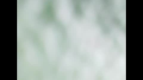 Snapshot of small_wood21 chatting on 12-22-25, 11:51 small wood21 online show from 12-22-25, 11:51