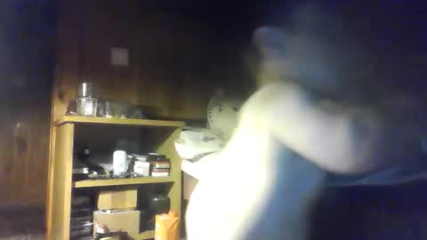 PIST PIST online show from 10-09-25, 06:28